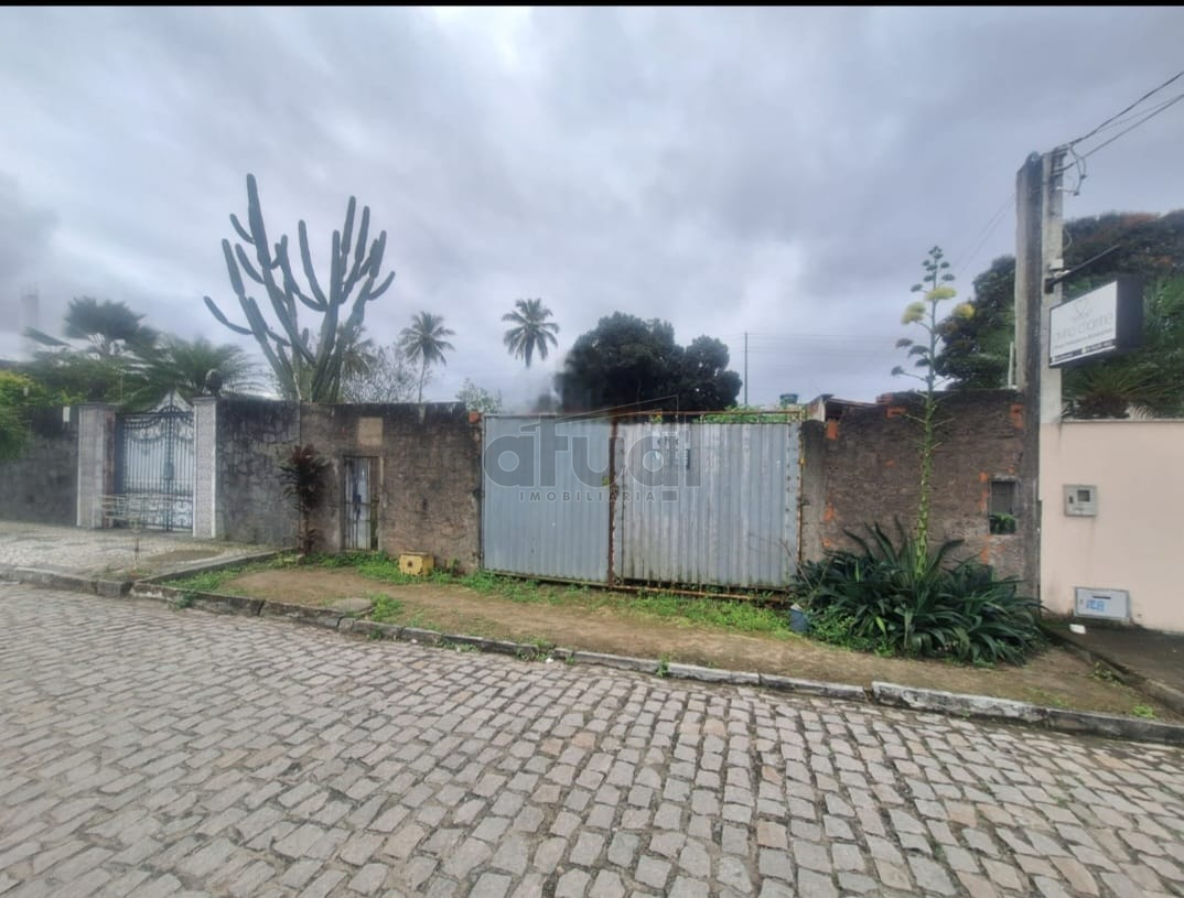 TERRENO