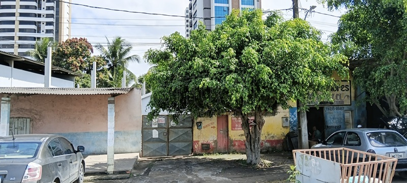 TERRENO